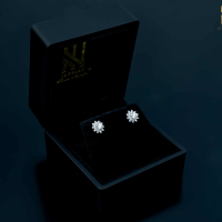 BÔNG TAI VÀNG ITALY 750 MẪU 11