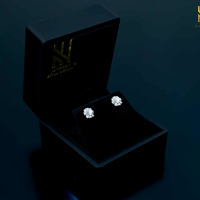 BÔNG TAI VÀNG ITALY 750 MẪU 12